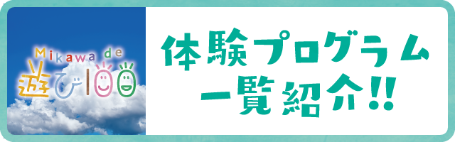 遊び100プログラム一覧