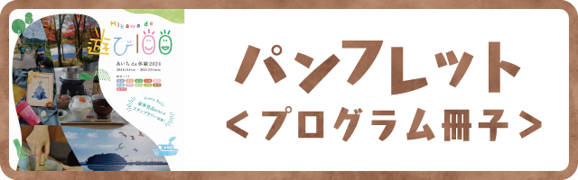 遊び100プログラム冊子