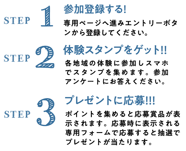 遊び100参加方法