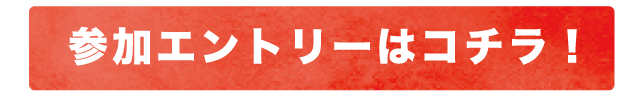 遊び100参加方法