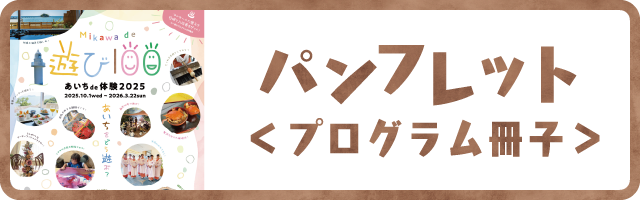 遊び100プログラム冊子